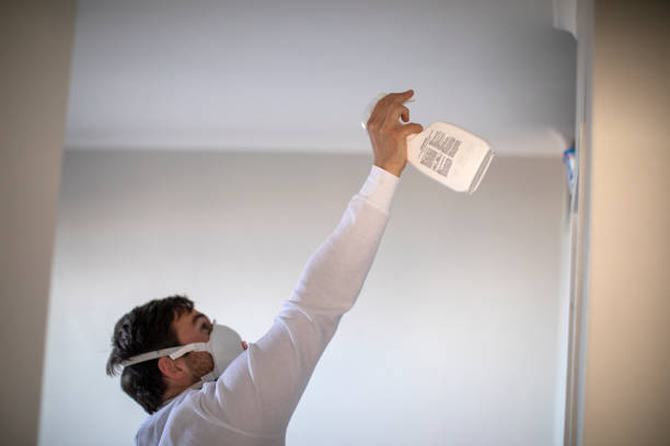 Reliable Rockwood, TN Mold Removal Solutions